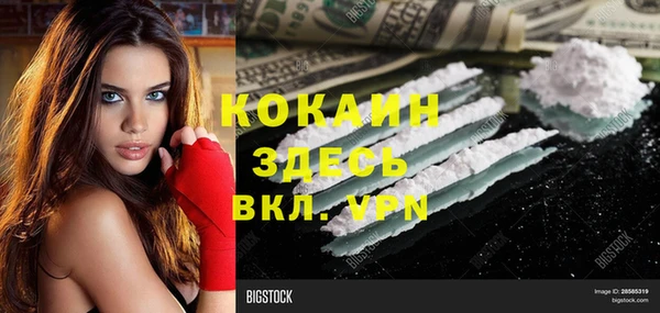 твердый Алзамай